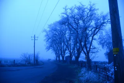 DSC_1068 (Large).JPG